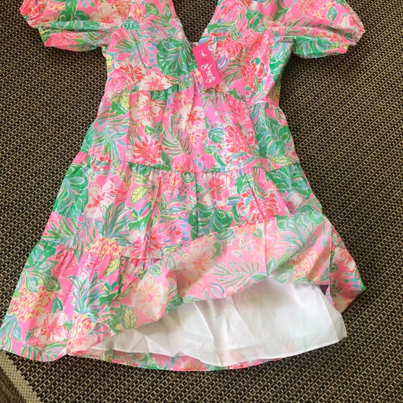 💕NEW! Lilly Pulitzer Nalani Short Sleeve Cotton Dress - Picture 6 of 11